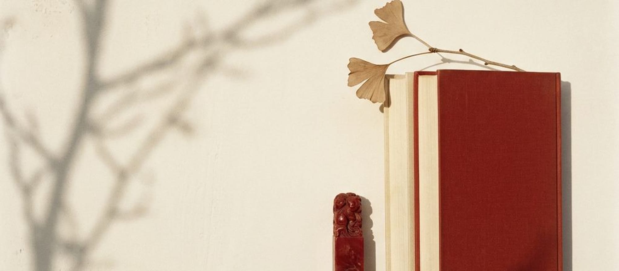 Резная красная печать, стопка книг и ветка гинкго у стены в утреннем свете.